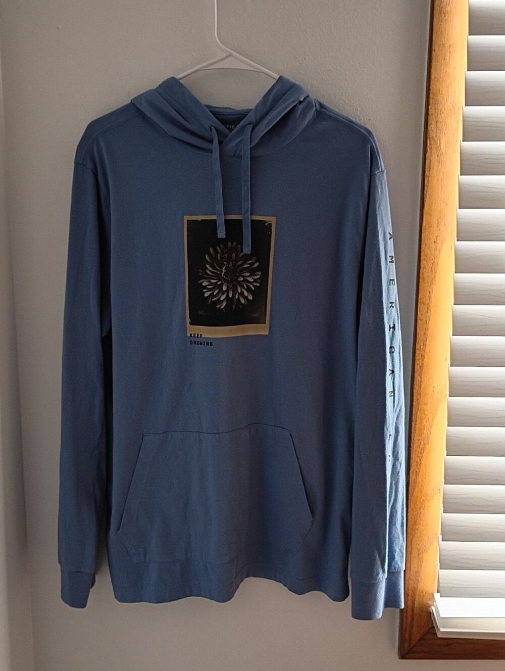 Mens American Eagle Outfitters Dusty Blue Graphic Hooded Long-Sleeve.
